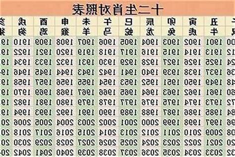 1996 年 生肖